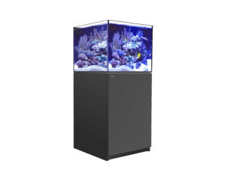 REEFER XL 200