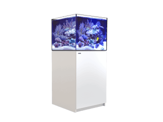 REEFER XL 200