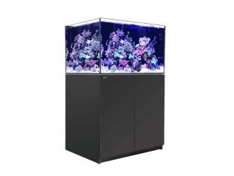 REEFER XL 300