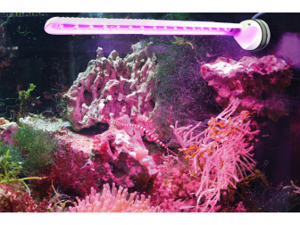 LED ECO CHIC REFUGIUM 9w TUNZE 8831