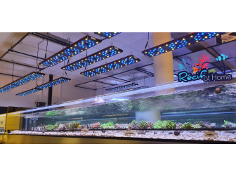 Evergrow IT 5080B