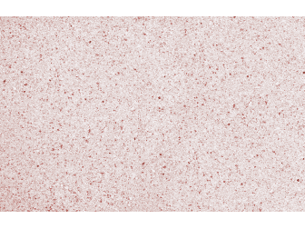SAMOA PINK REEF SAND 0,5-1,7mm en 9,07 KG