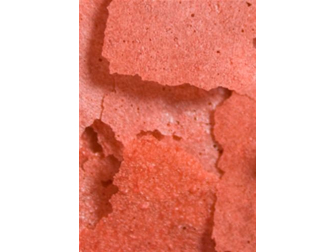 PRIME REEF FLOCONS 34GR