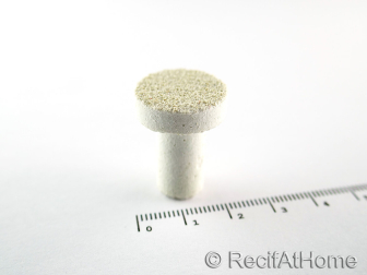 Aragonite X 20 plot FRAG T bouturage corail