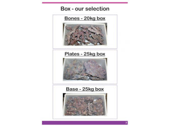 Dutch Reef Rock Base   Mix Box 25 Kg