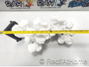 FLOATING ROCK SET DROITE Blue Marine