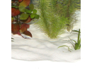 JBL Sansibar SNOW 5 Kg