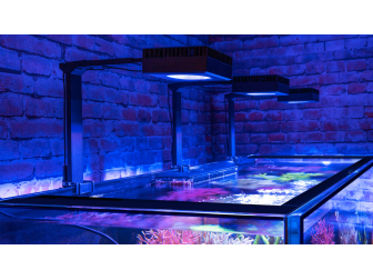 REEFER S 1000