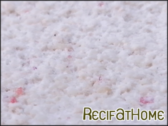 FRAG T X 1 plot Medium pour coraux