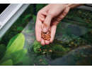 Cichlid Granulate M 250 ml Color Oase
