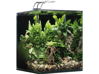 NANOCUBE COMPLETE+ 30 L - POWER LED 5.0 Dennerle