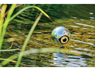 Pontec PondoScare Ball PONTEC