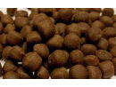 Anémone pellet granulés 100GR Ocean nutrition