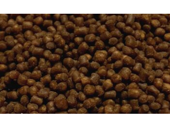 Coral Pellet Small 100GR Ocean nutrition