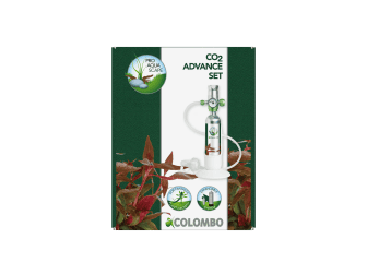 COLOMBO CO2 KIT ADVANCE 95GR