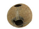 Cocos Cava 1/1M JBL