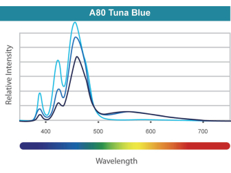 LED A80 Tuna Blue Kessil