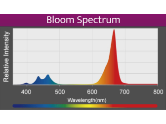 LED A360X Refugium Kessil