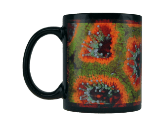 MUG "Mardi gras" Micromussa GROTECH