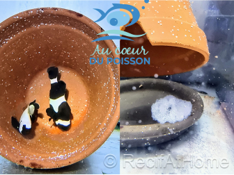 Amphiprion Amphiprion Percula ACDP