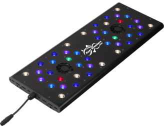 Evergrow Vs Reefbreeders Photon 24 Pro (ex : IT5060B)