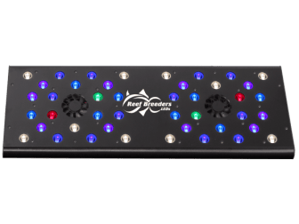 Evergrow Vs Reefbreeders Photon 24 Pro (ex : IT5060B)