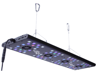 Evergrow Vs Reefbreeders Photon 32 Pro (ex : IT5080B)