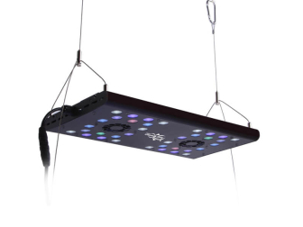 Evergrow Vs Reefbreeders Photon 16 Pro (ex : IT5040B)