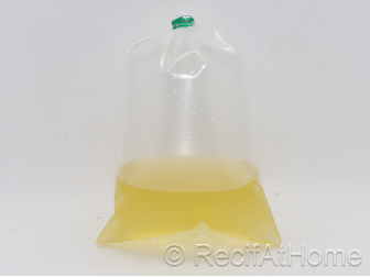 T-iso Nourriture vivante 90 ml