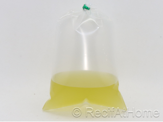 Tetraselmis suecica Nourriture vivante 90 ml