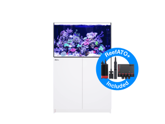 REEFER G2+  XL 300
