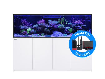REEFER G2+  S 1000