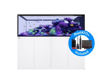 Peninsula G3 S-950 aquarium Redsea
