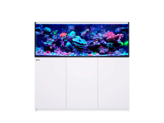 REEFER MAX XL 525 G2+