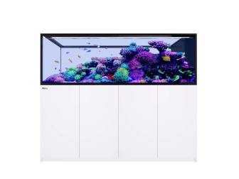Peninsula MAX S-950 G2+ 