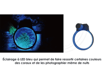 Maxspect Pastel Reef Magnifier M