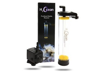 Reacteur fluidisé