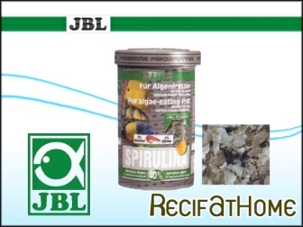 Peces herbívoros