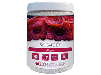 Anti-Silikate