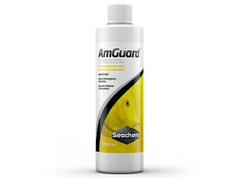 Anti-amoniaco