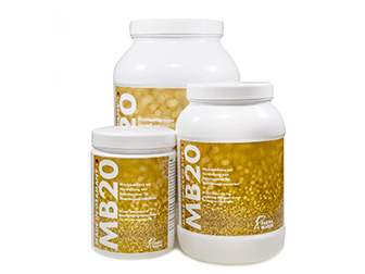 Deionizing resin for reverse osmosis system