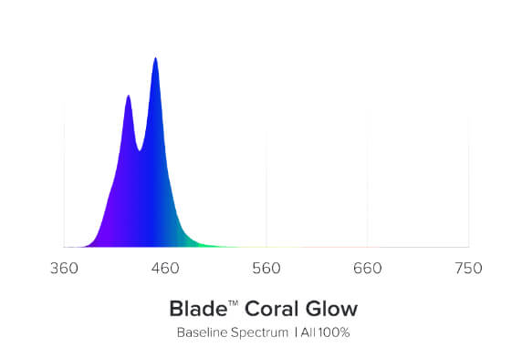 Spectre lumineux AI Blade Coral Glow