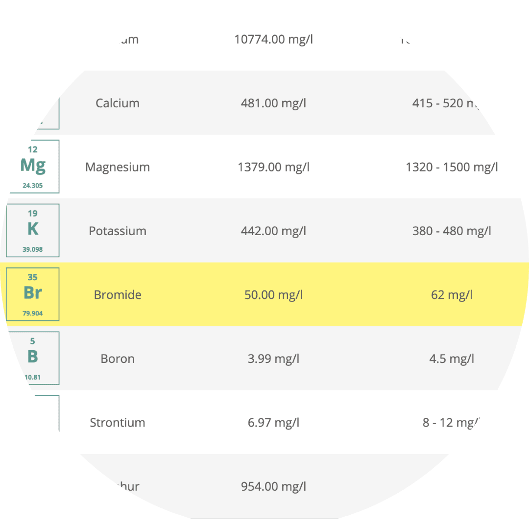 ICP TRITON Results