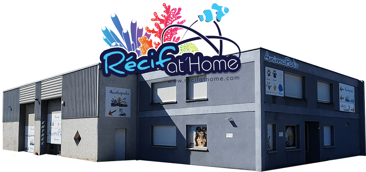Magasin Recifathome