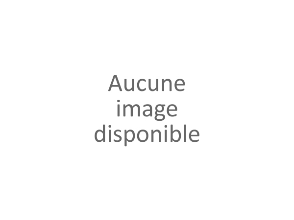 Câble rallonge avec jack stéréo et prise jack stéréo Kessil
