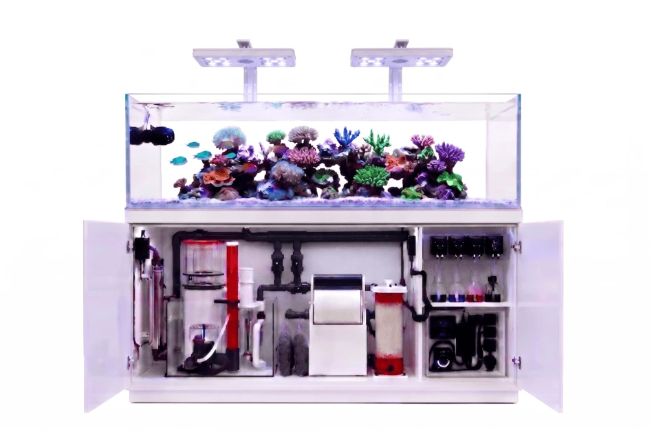 Aquarium récifal équipé